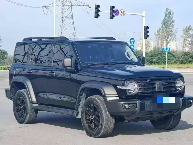 咸阳24年长城汽车坦克2