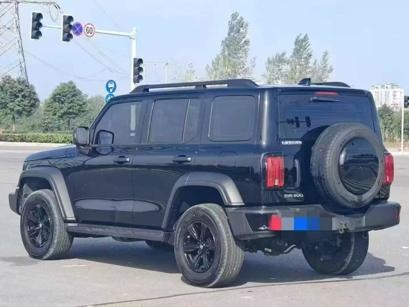 咸阳24年长城汽车坦克7