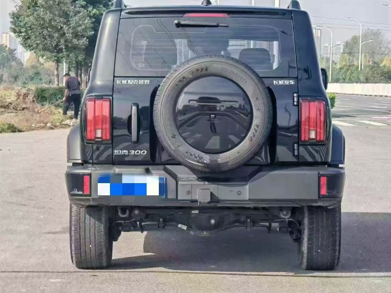 咸阳24年长城汽车坦克9