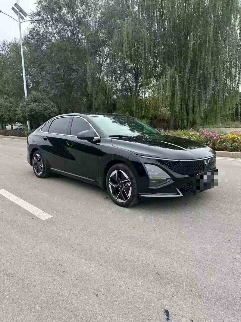 枣庄24年五菱汽车星光2