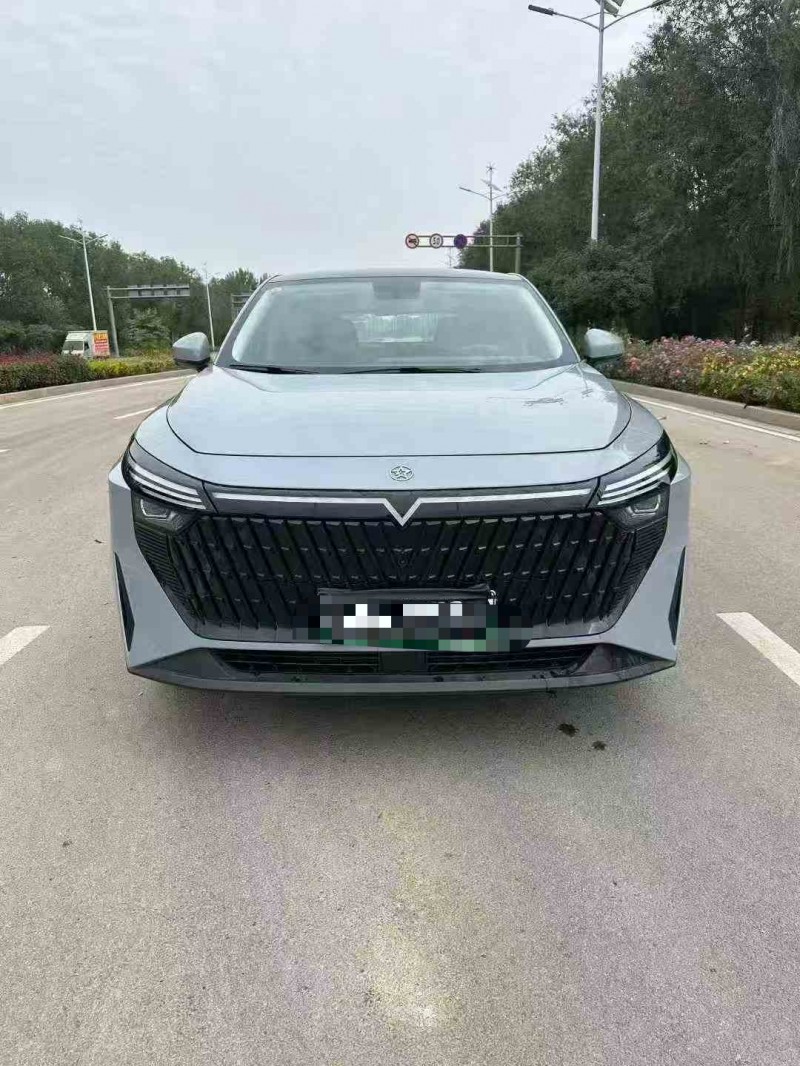 枣庄24年启辰大V1