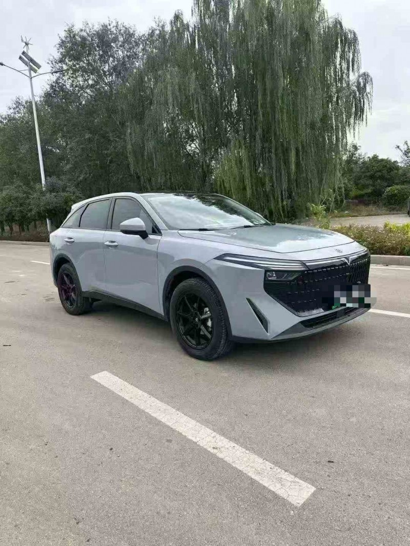 枣庄24年启辰大V2