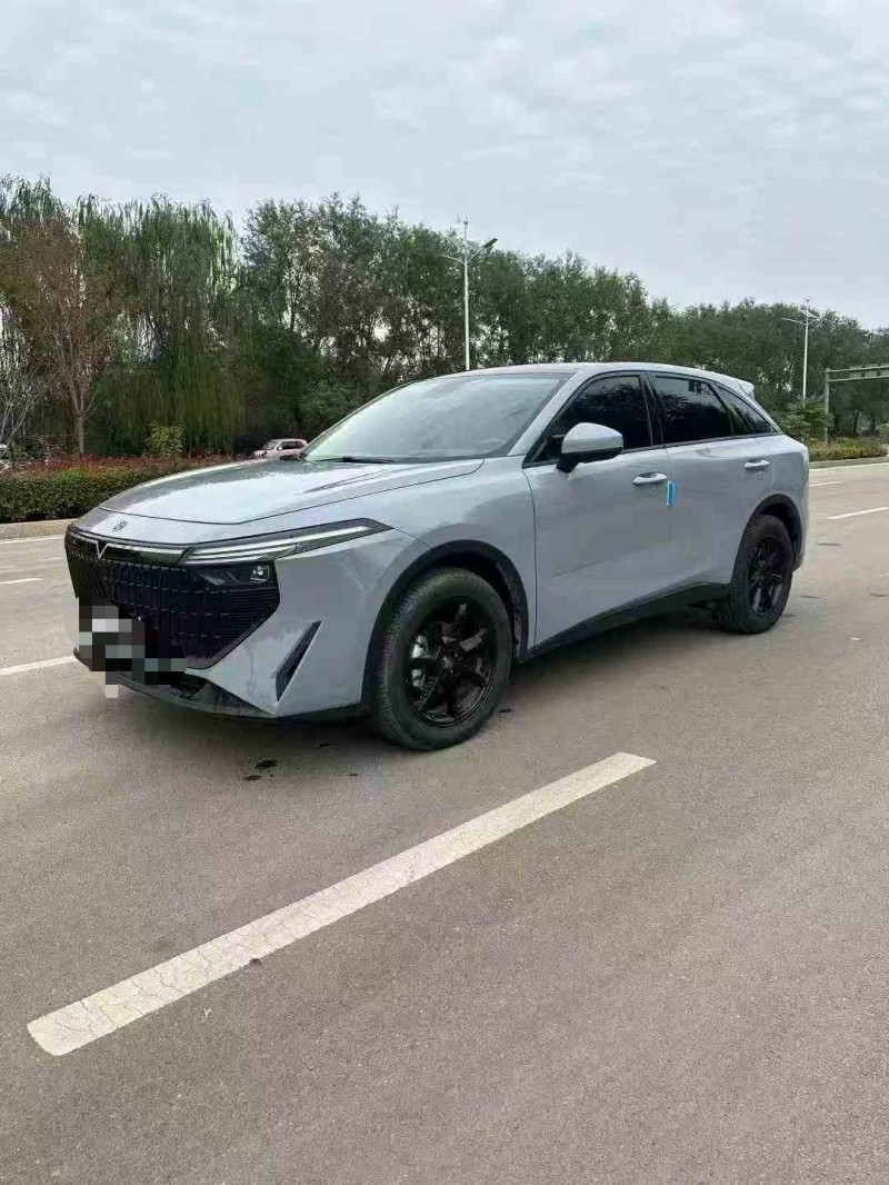 枣庄24年启辰大V3