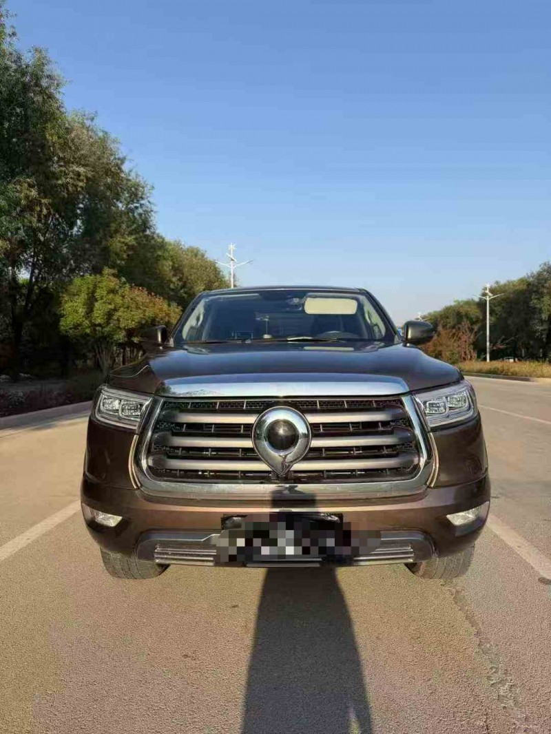 枣庄23年长城汽车炮 皮卡1