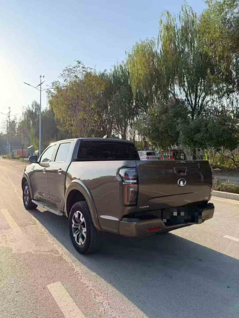 枣庄23年长城汽车炮 皮卡9