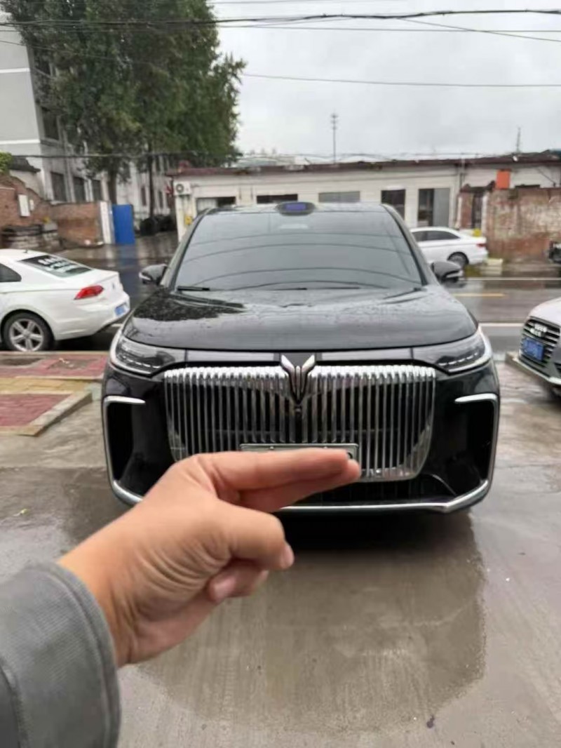 安阳25年岚图汽车梦想家1