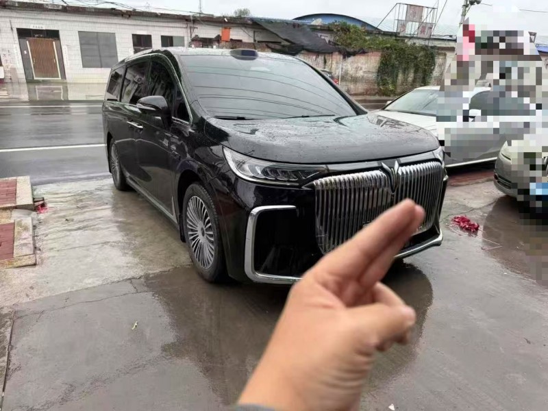 安阳25年岚图汽车梦想家2