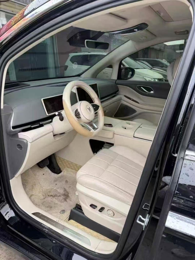 安阳25年岚图汽车梦想家4