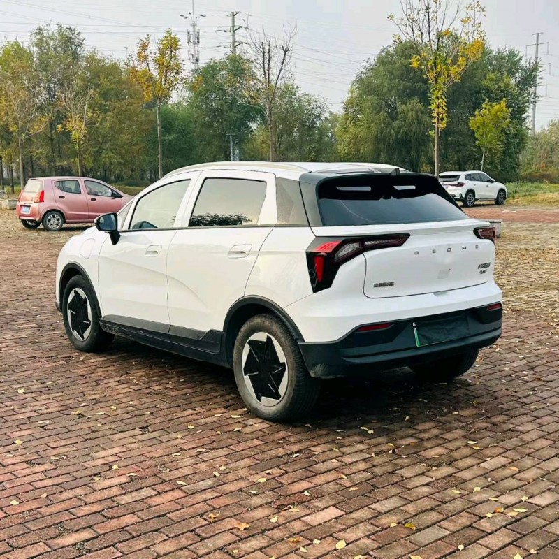 聊城24年吉利几何8