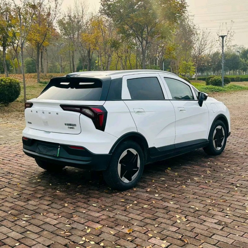 聊城24年吉利几何9