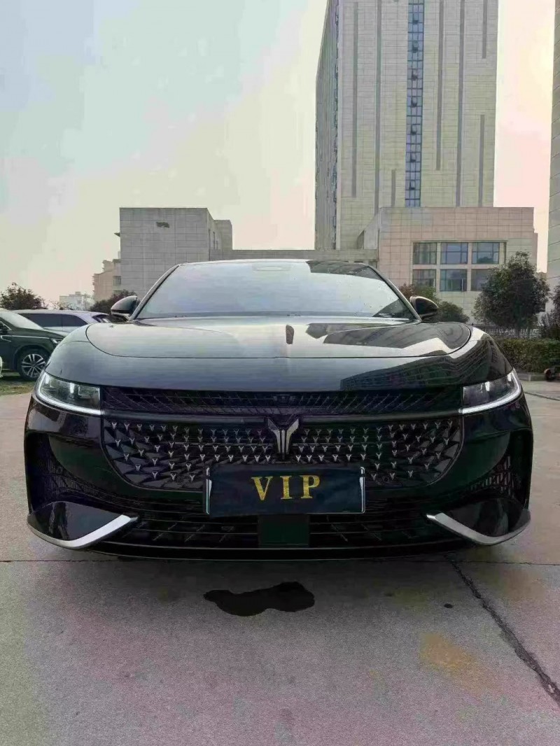 鄂州25年岚图汽车追光1