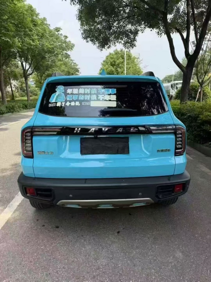 徐州22年哈弗大狗8