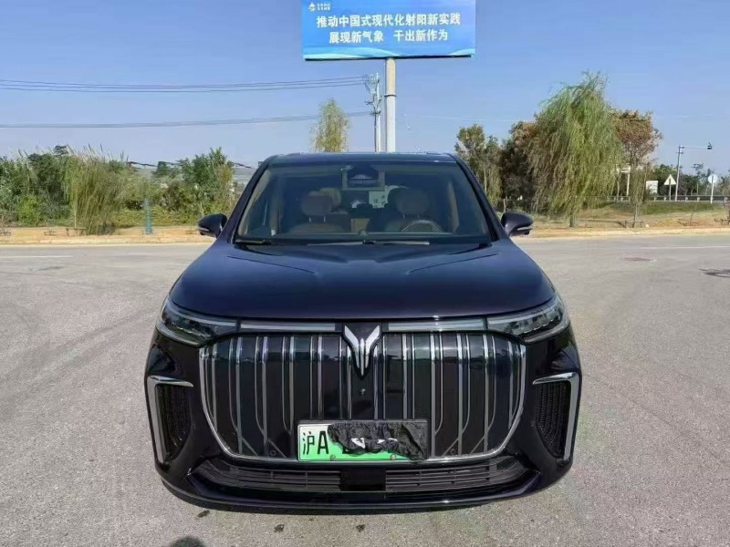 常州24年岚图汽车梦想家1