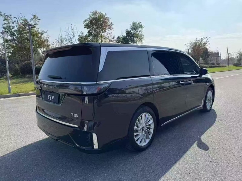 常州24年岚图汽车梦想家9