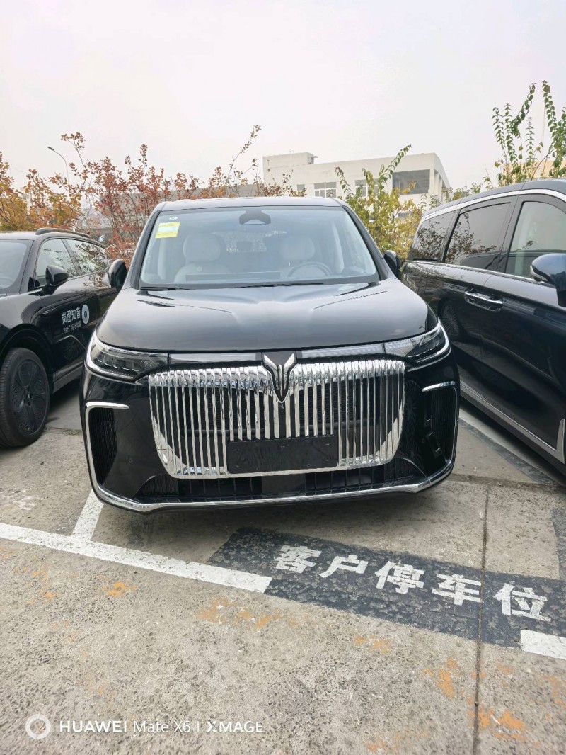 沧州25年岚图汽车梦想家2