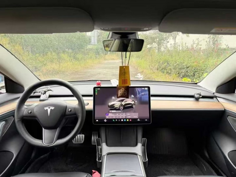 宜昌22年特斯拉MODEL 35