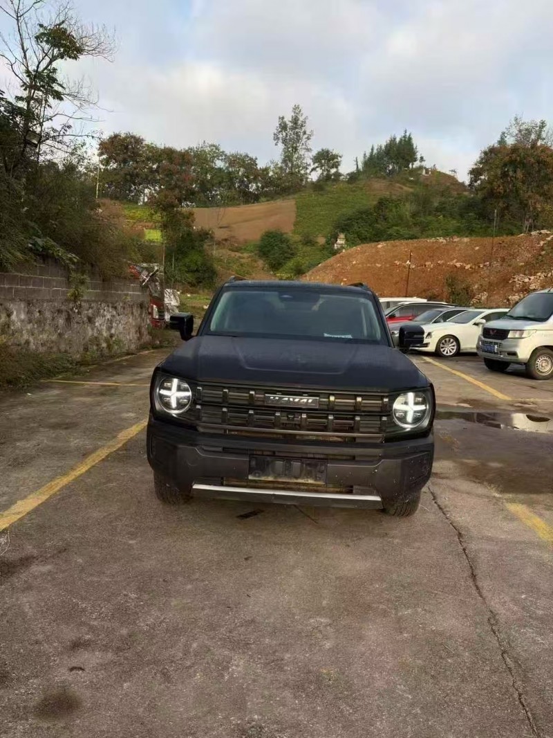 重庆23年哈弗大狗1