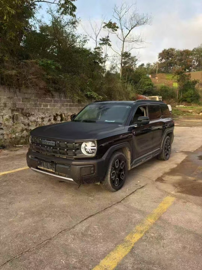 重庆23年哈弗大狗2