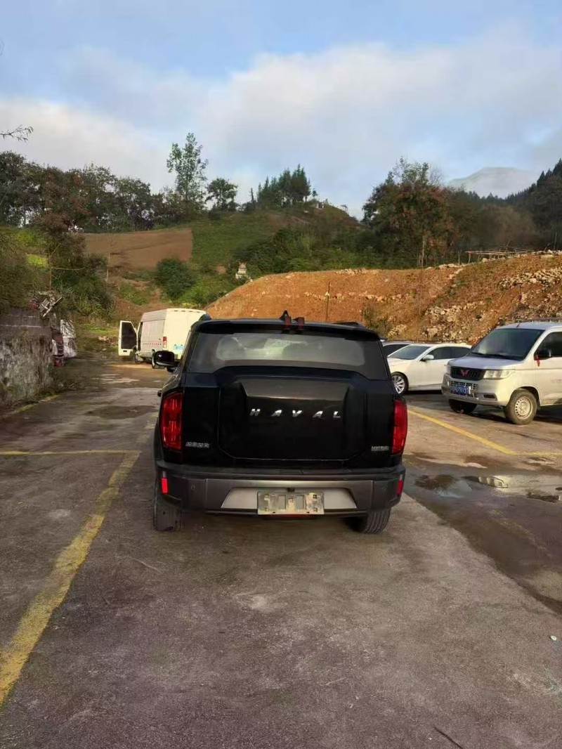 重庆23年哈弗大狗3