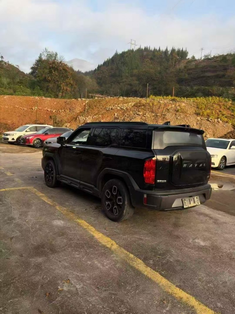 重庆23年哈弗大狗4