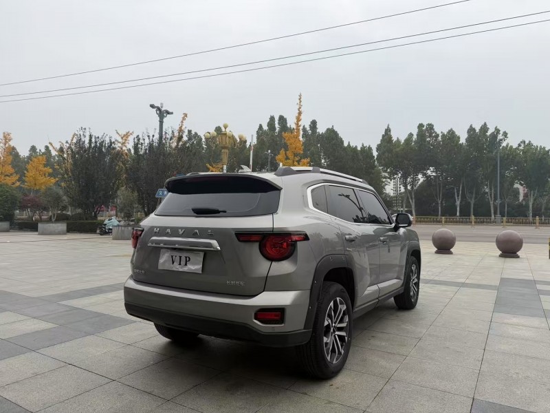 枣庄24年哈弗大狗8