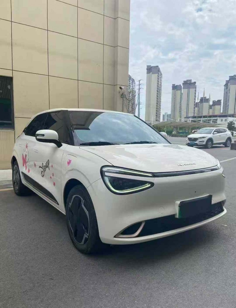 襄阳24年东风纳米2