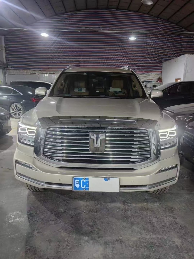 广州23年长城汽车坦克1