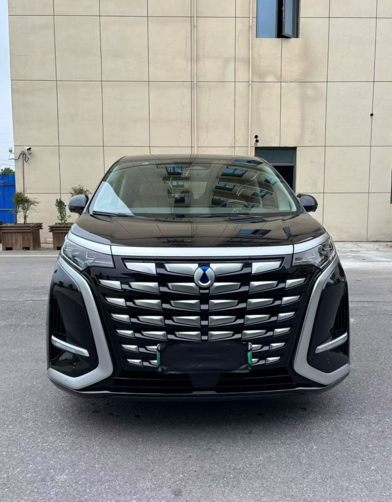 襄阳23年腾势D91