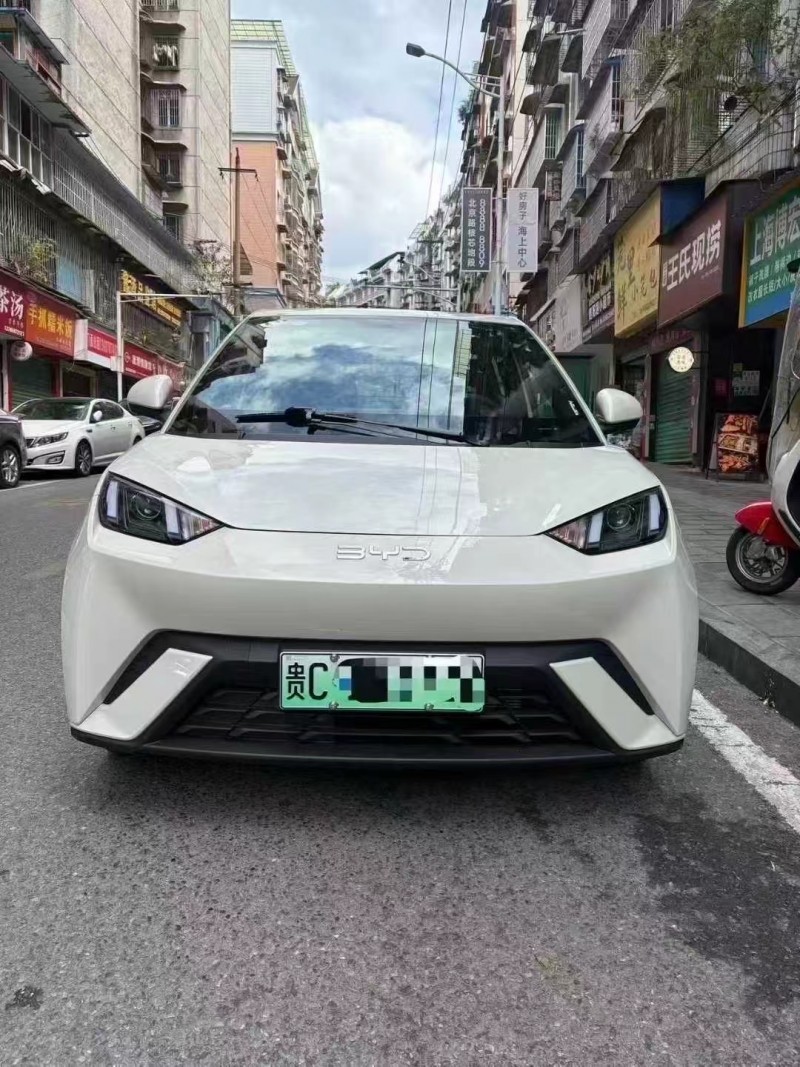 遵义25年比亚迪海鸥1