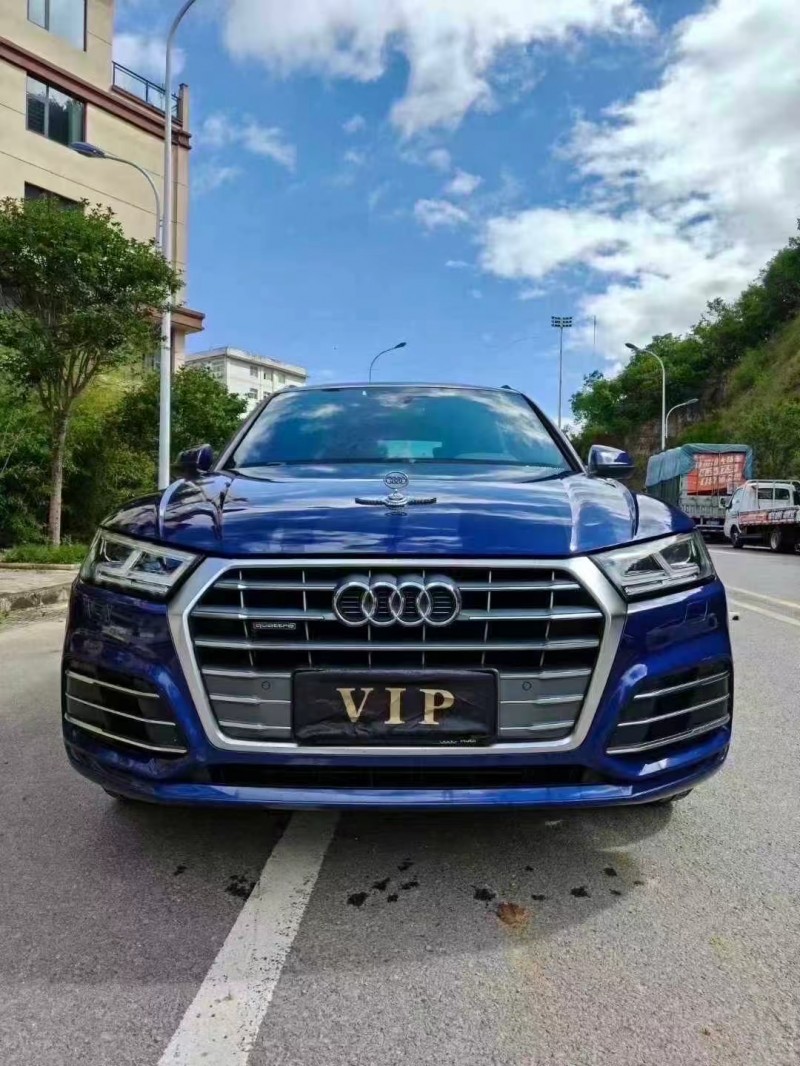六盘水19年奥迪Q51