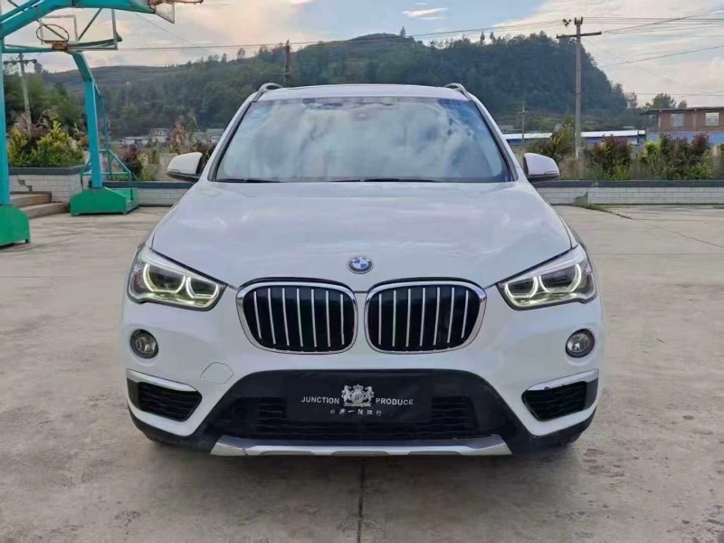 毕节19年宝马X11