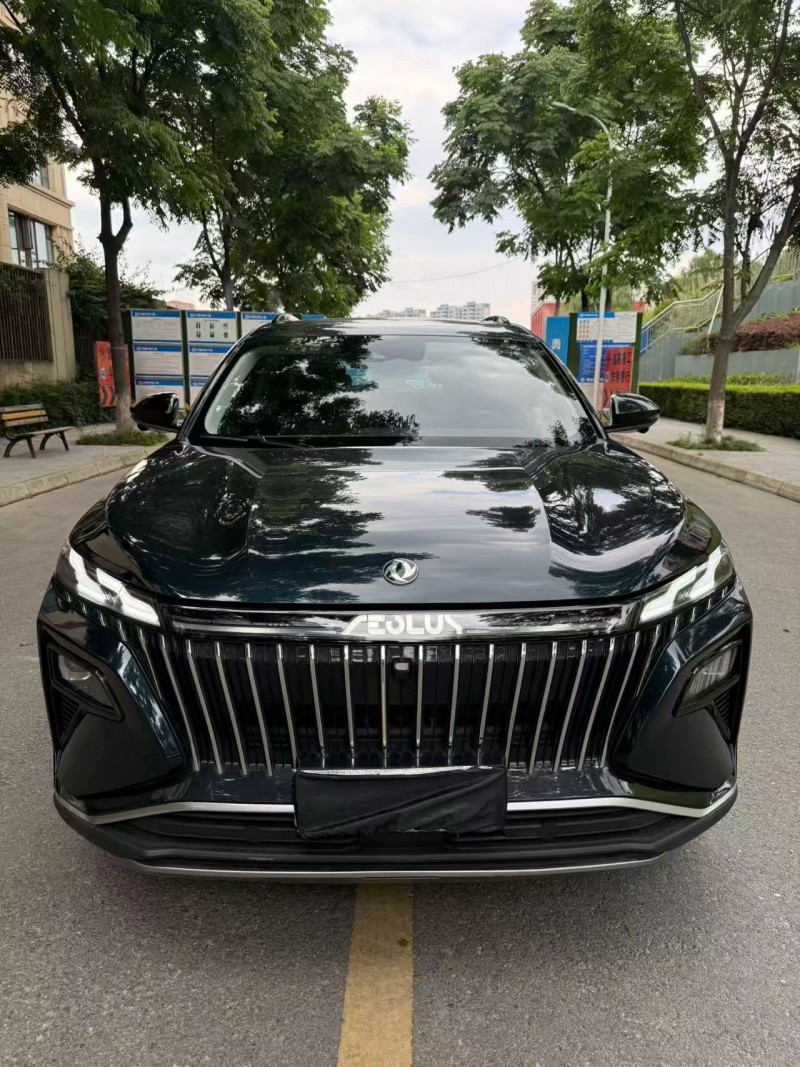 成都22年东风风神1