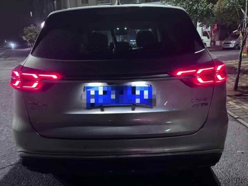 吉安21年红旗HS59