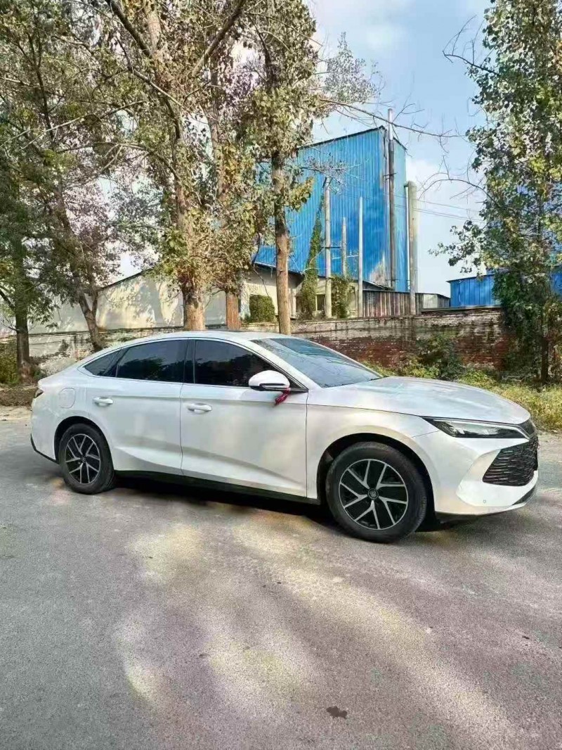 菏泽25年比亚迪秦3