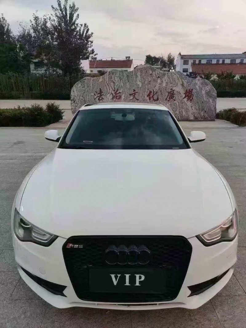 菏泽12年奥迪A51