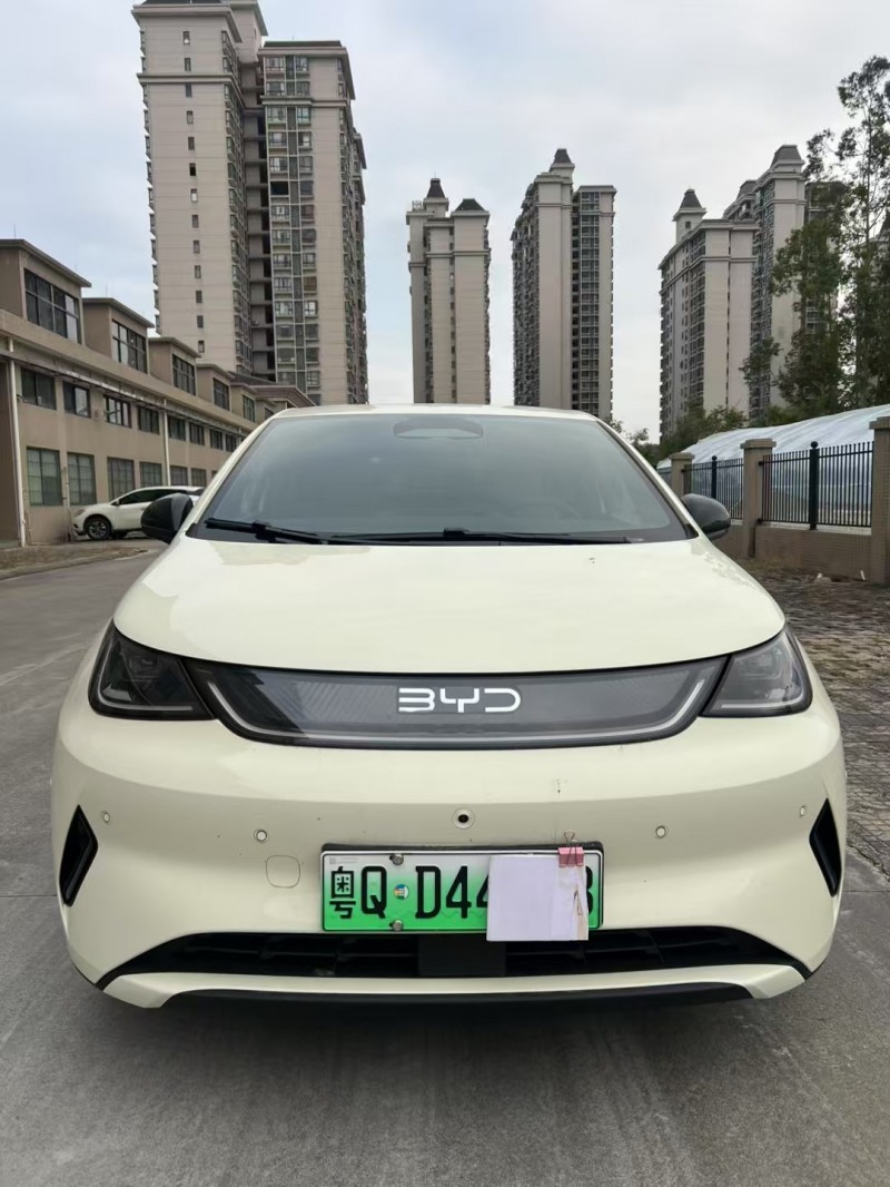 江门25年比亚迪海豚1