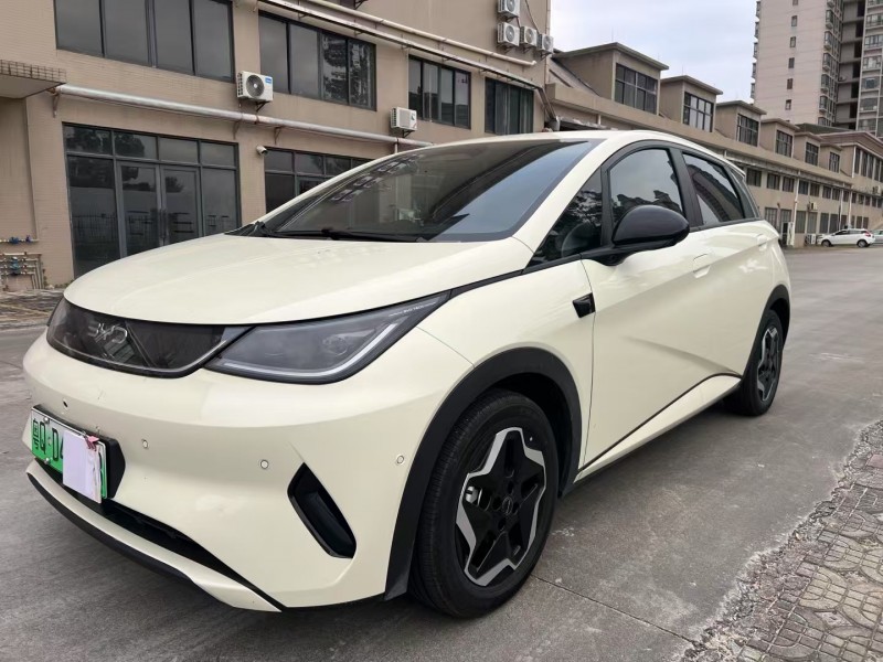 江门25年比亚迪海豚2