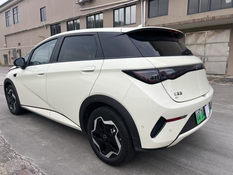 江门25年比亚迪海豚7