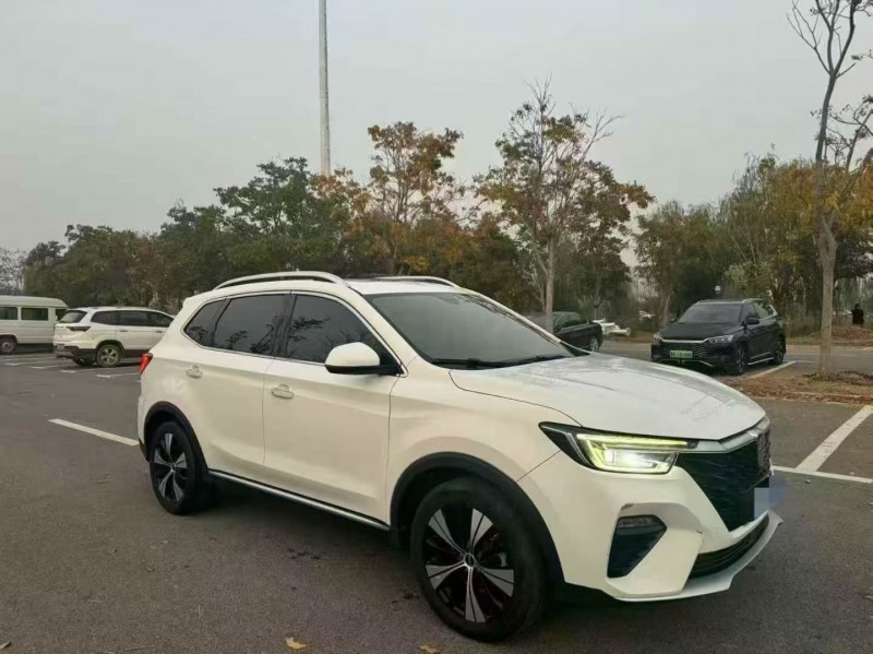 淄博20年荣威RX53