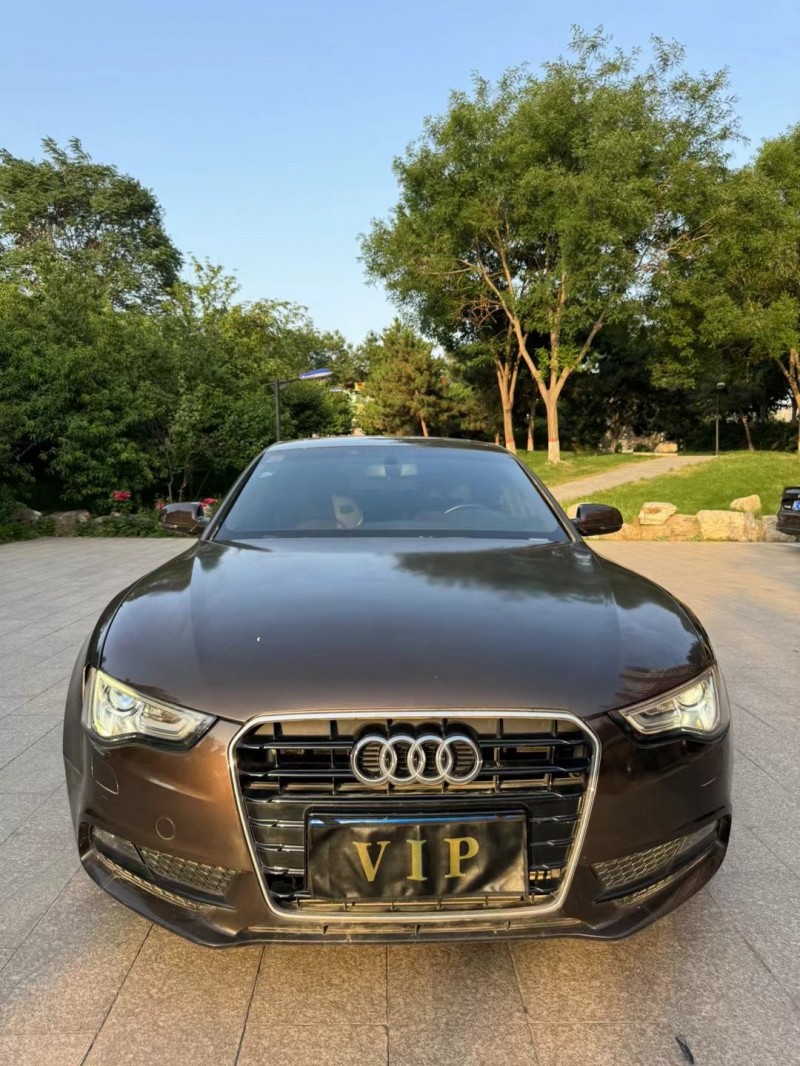 邢台15年奥迪A51