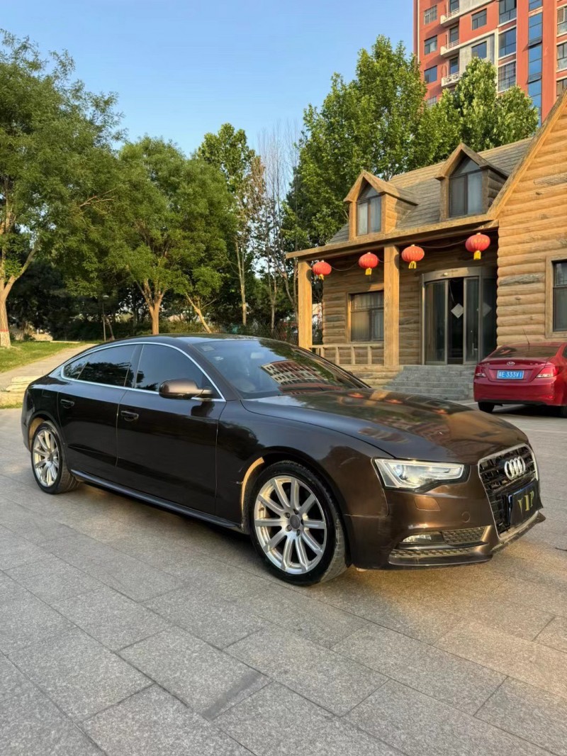 邢台15年奥迪A53