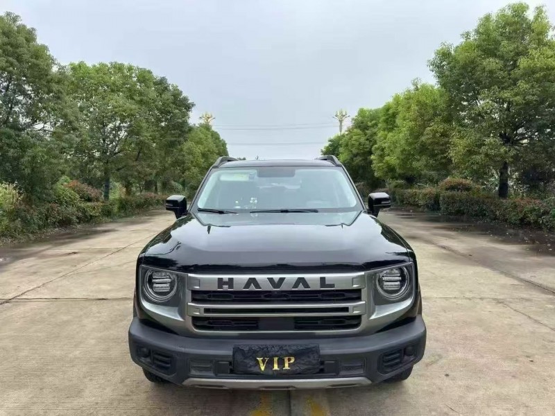 常州24年哈弗大狗1