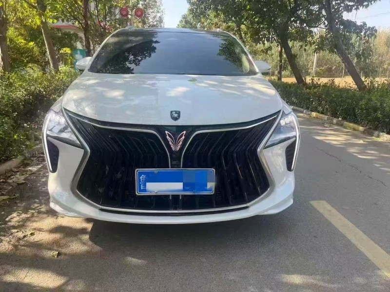 枣庄24年东风风行1