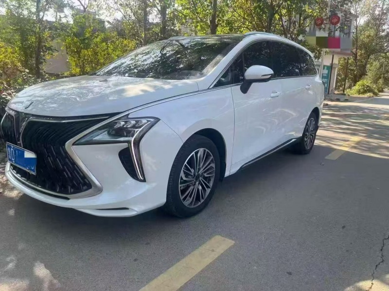 枣庄24年东风风行2