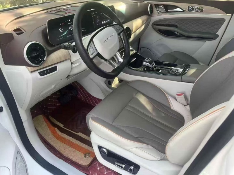 枣庄24年东风风行4