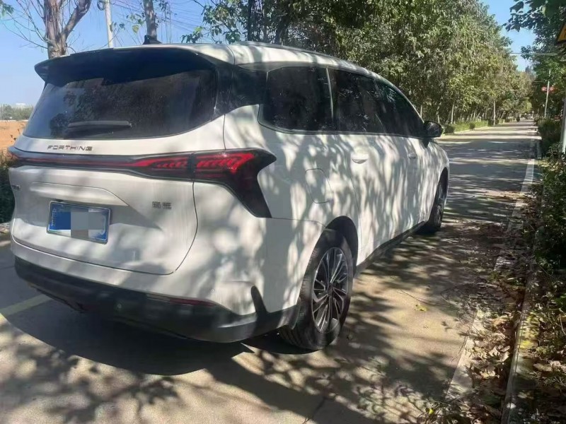 枣庄24年东风风行7