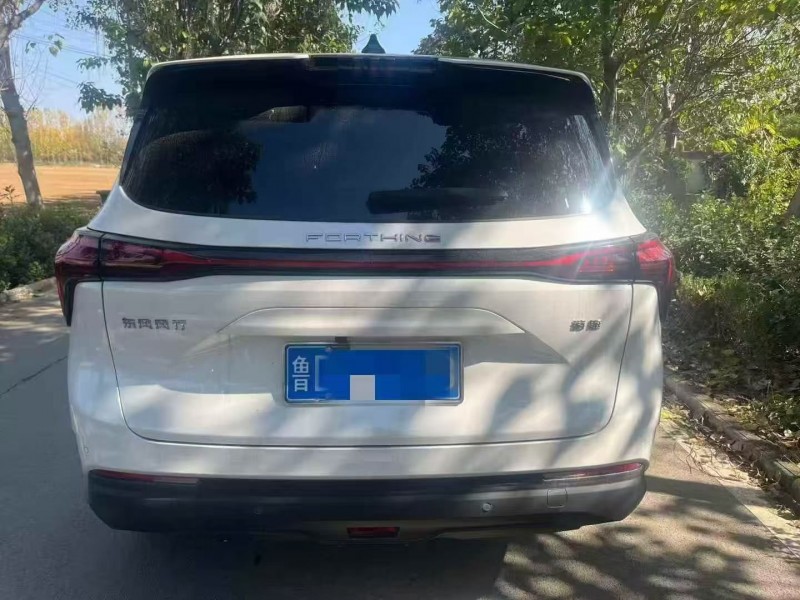 枣庄24年东风风行9