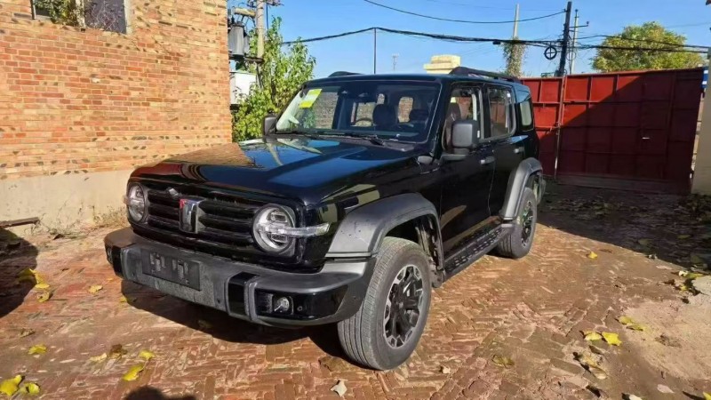 秦皇岛25年长城汽车坦克1