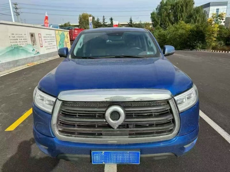 平顶山21年长城汽车炮 皮卡1