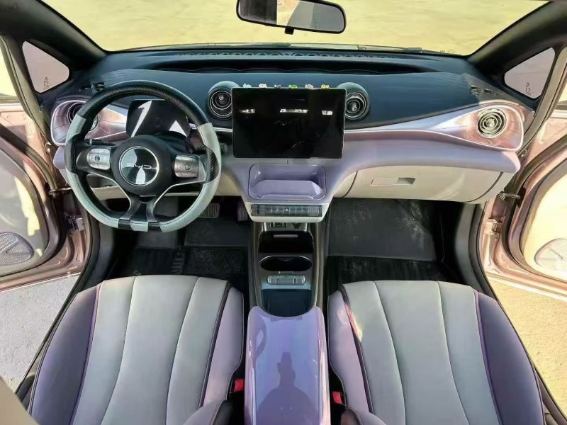 承德22年比亚迪海豚6